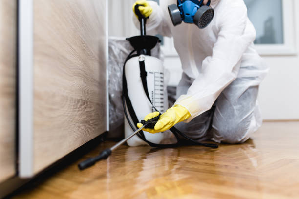 Best Cockroach Control Services  in Durant, OK