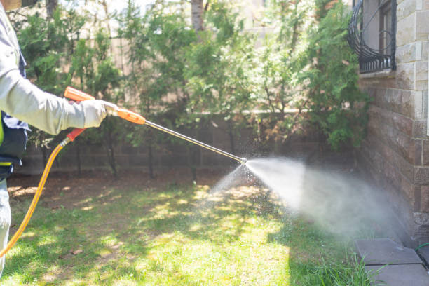 Best Affordable Pest Control Services  in Durant, OK