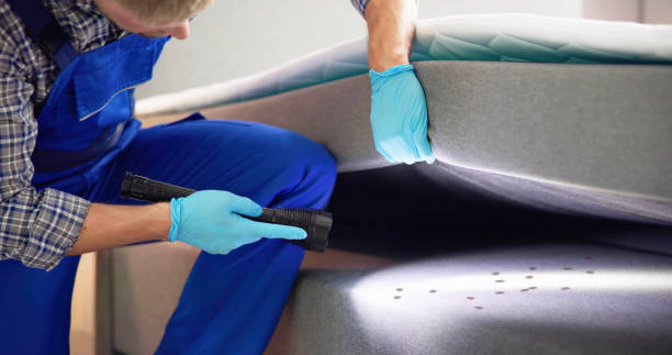 Best Affordable Pest Control Services  in Durant, OK